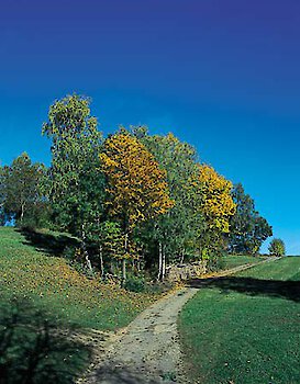 Herbst im Bayerischen Wald